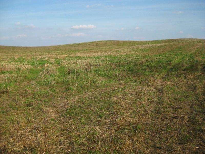 Końca pola nie widać, ale jechać trzeba do przodu, a nie się cofać.