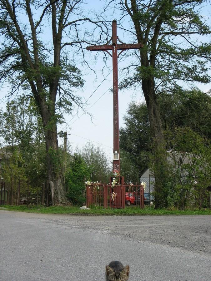 Kędzierówka