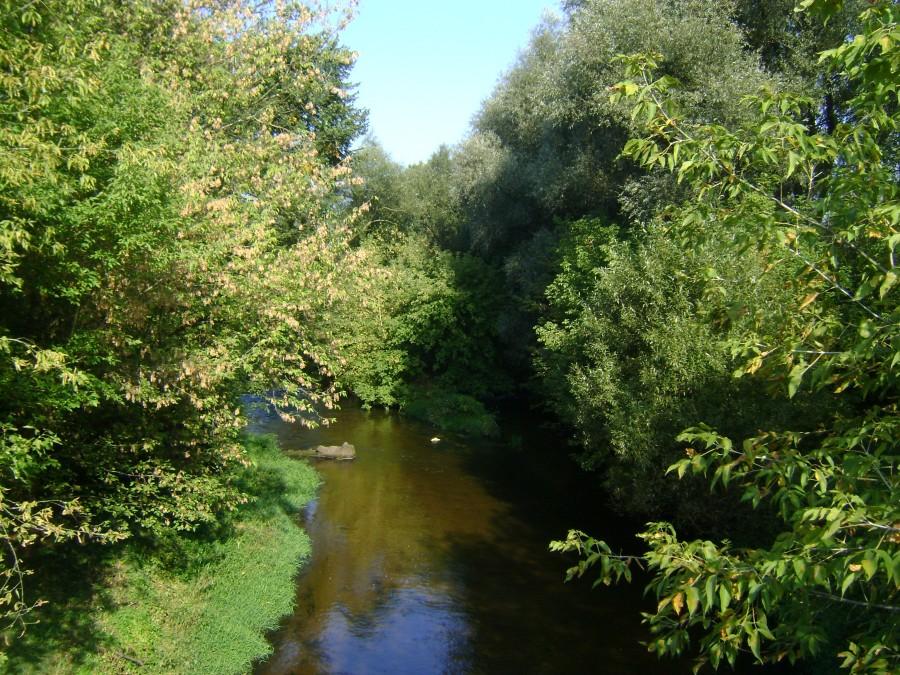 Widok z mostu na ulicy Wapiennej