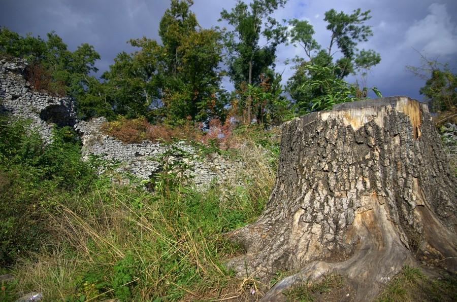 Pniak wewnątrz ruin zamku CheEvary