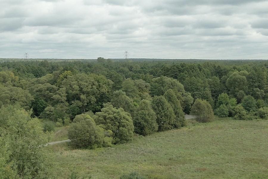 Widok z wierzy zamkowej
