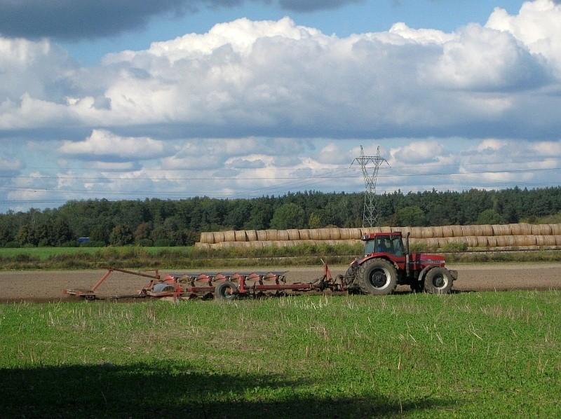 Uzarzewo - Ciągnik Case z 7-skibowym pługiem i podwójnym wałem