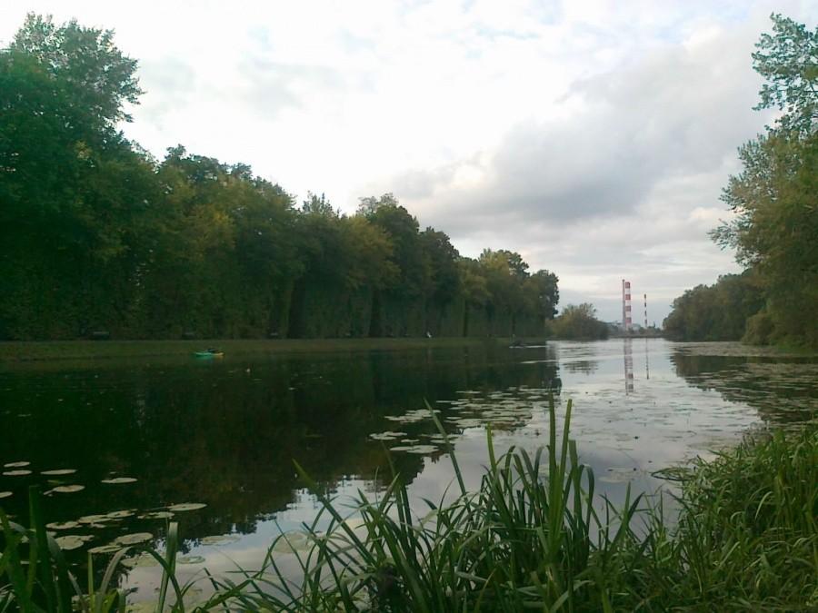 Jezioro Wilanowskie