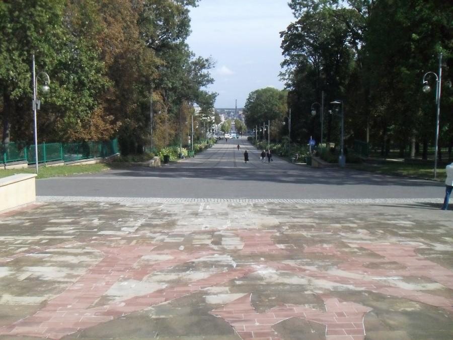 widok na aleje