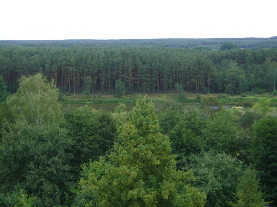Widok na Pilicę z kościoła Św.Idziego w Inowłodzu