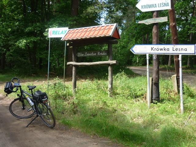I jak tu nie trafić do Krówki Leśnej