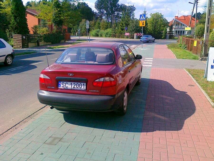 Święta krowa na DDR w Gnaszynie.
