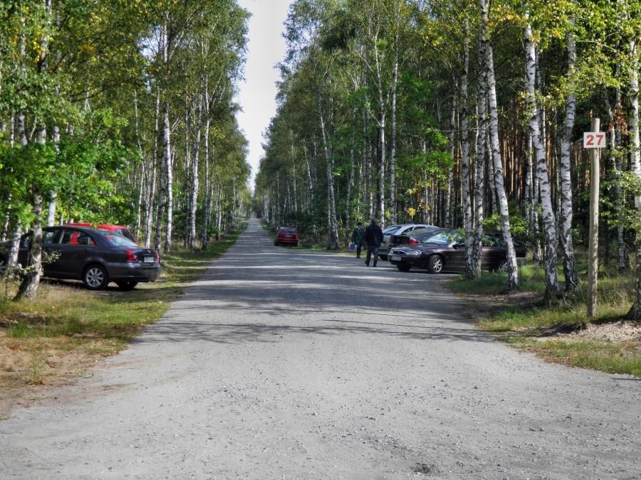 Leśna droga nr 27 - obecnie punkt wypadowy dla zbieraczy grzybów.