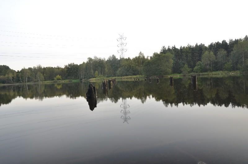 Starganiec prześwietlone