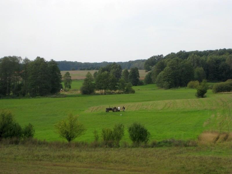 We wsi Stary Łoskoń