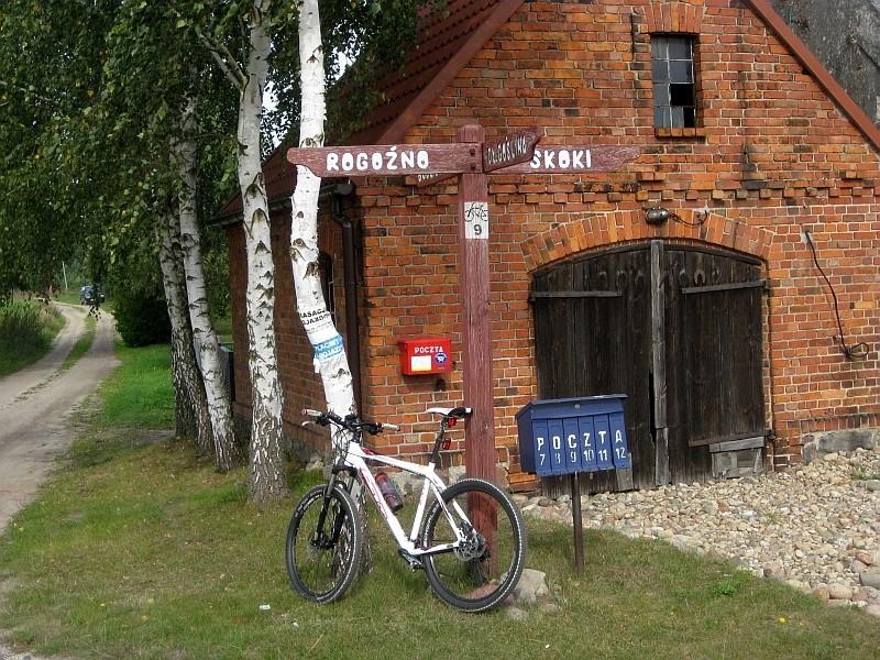 Przy kierunkowskazie w Budziszewicach