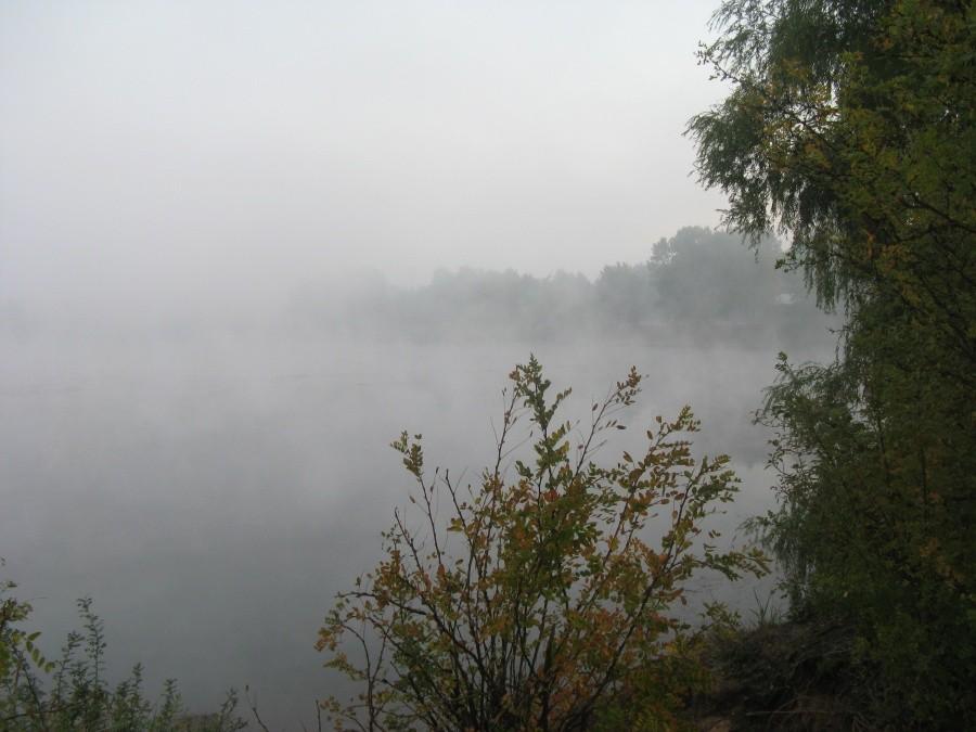 Mgła nad stawikami