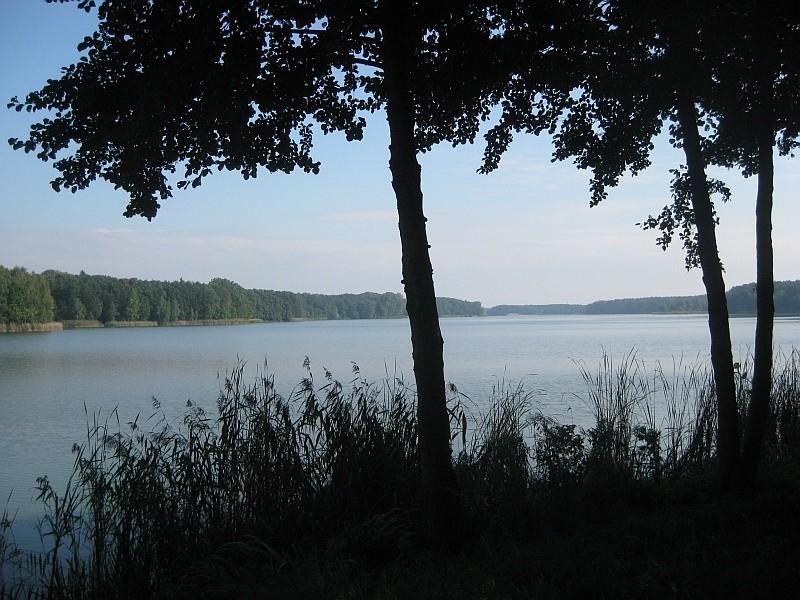 Jezioro Kowalskie - widok z Barcinka