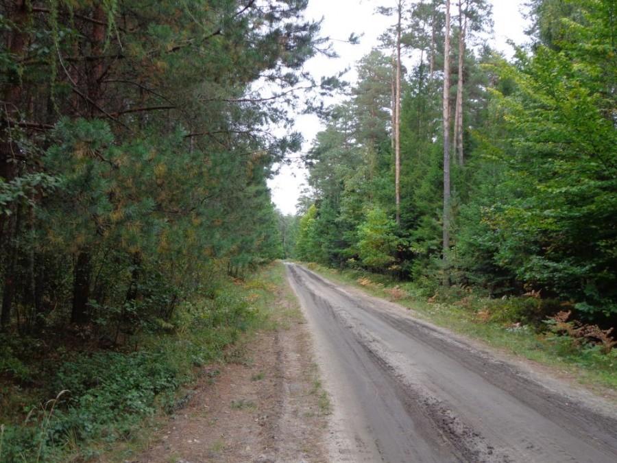 droga do Sokołowa...początek rewelka