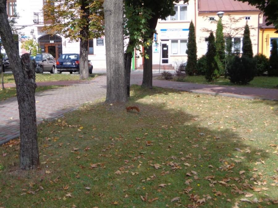 brzdąc nr 1..ja spadam nie wiem jak Ty :P