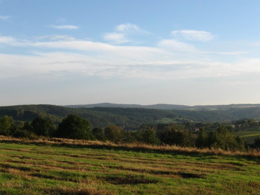 Prawdopodobny cel na jutro- Wilcze.