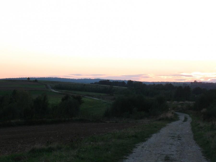 Szutrówka wśród pól.