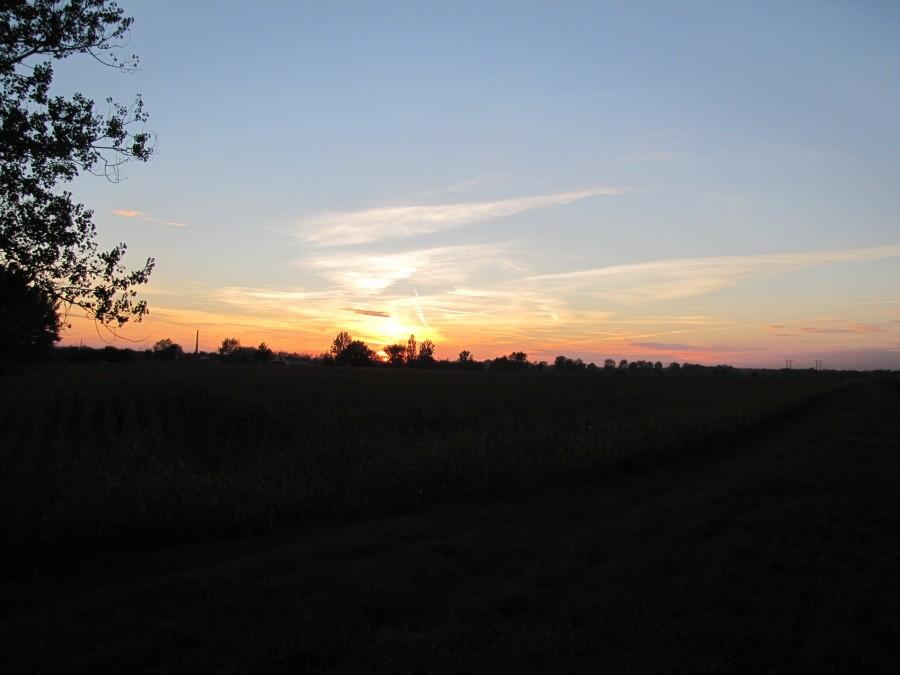 Buków. Słoneczko zachodzi.