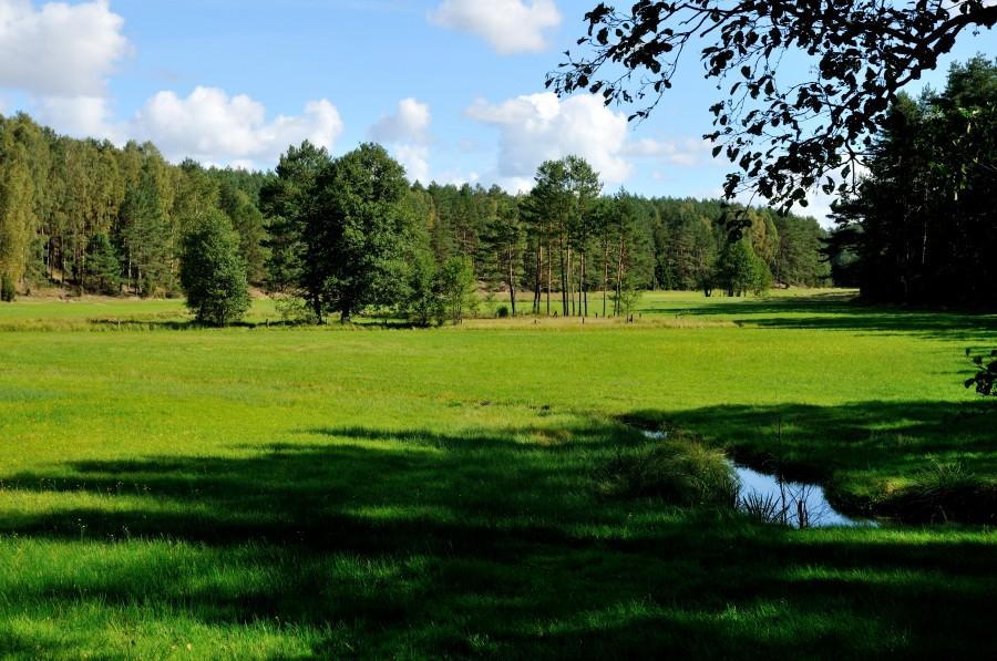 Polana i strumyk przy drodze Wdzydze-Wąglikowice