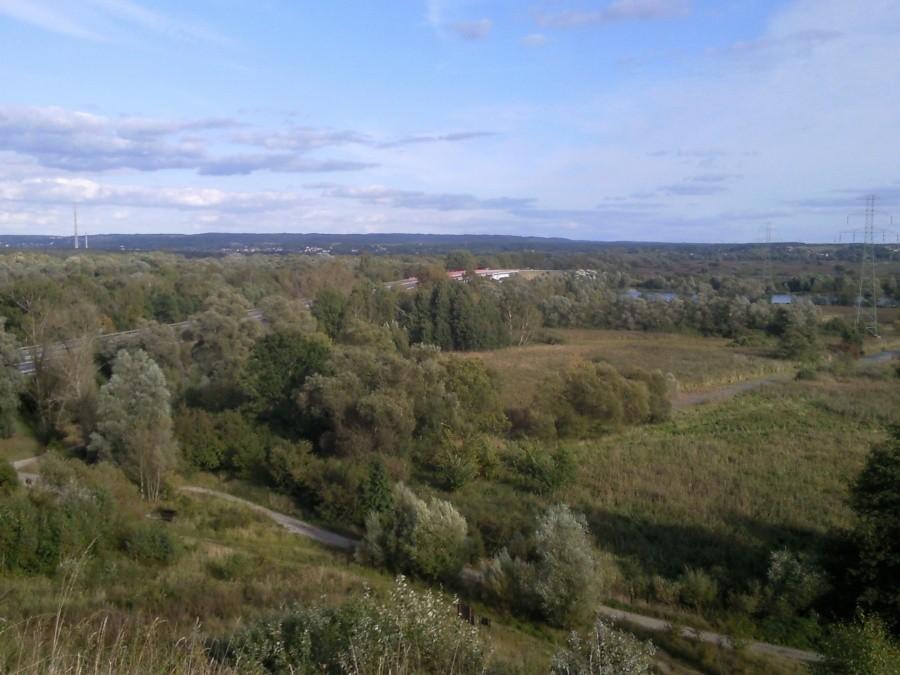Widok z punktu widokowego