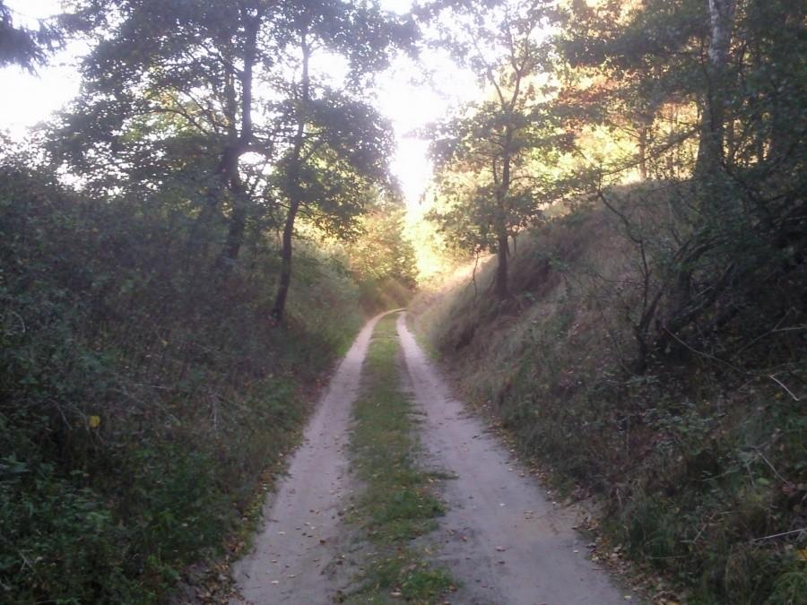 Widok w drugą stronę
