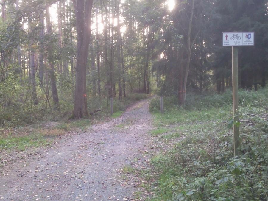 Szlak Bielika