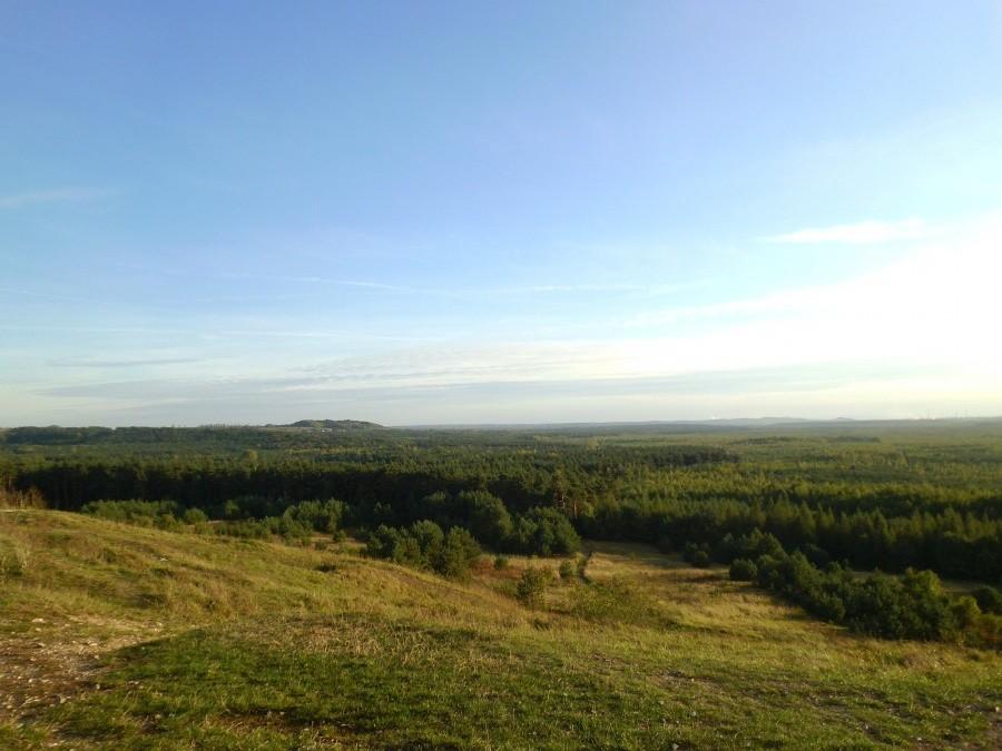 Widok na Pustynie Błędowską