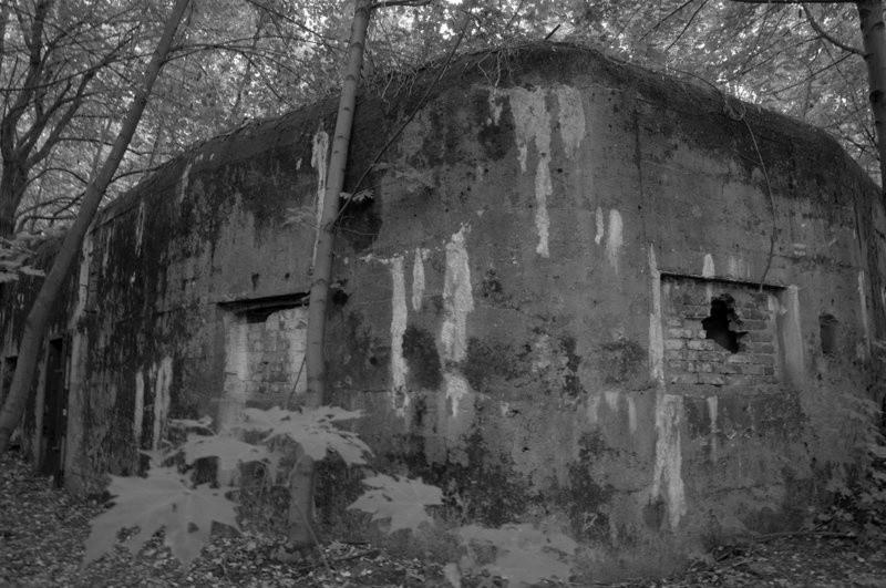 A jednak są bunkry