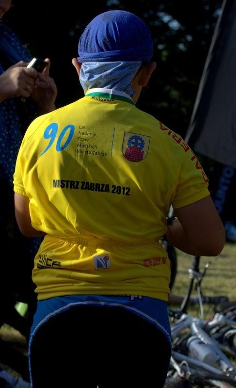 Mistrz Zabrza