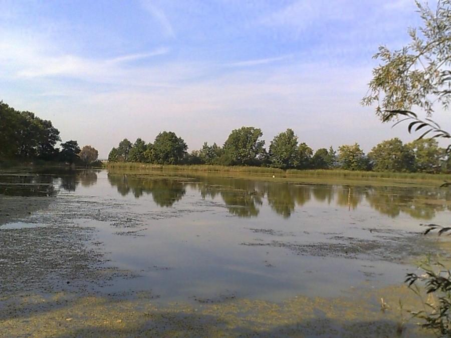Wielikąt. Staw hodowlany
