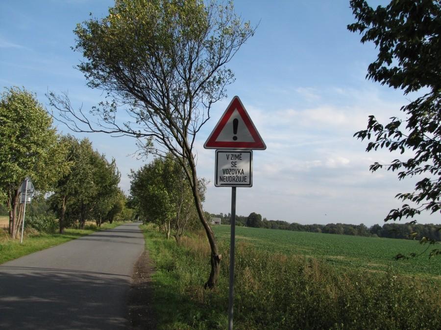Proszę o tłumacza .