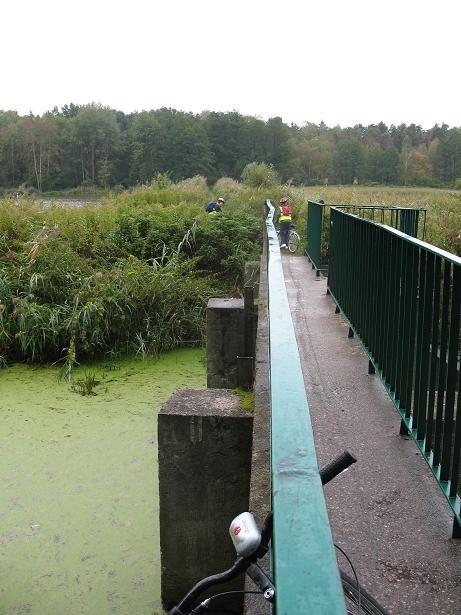 przejście nad jazem na Zielonej- stawy w Zalesiu Górnym