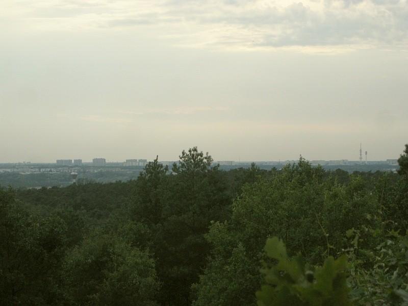 Dziewicza Góra - kiepski widok na poznańskie Piątkowo