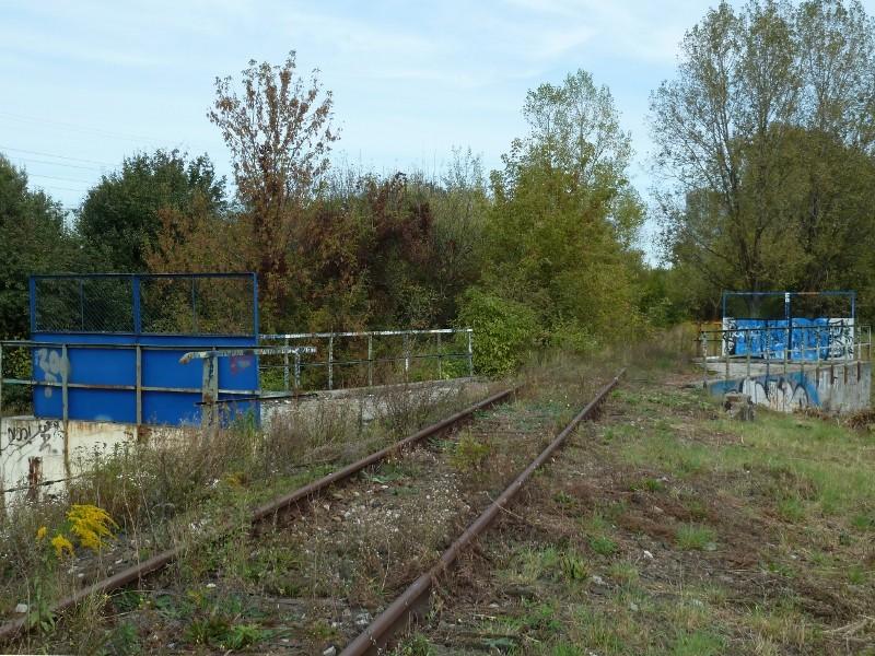 Tory donikąd