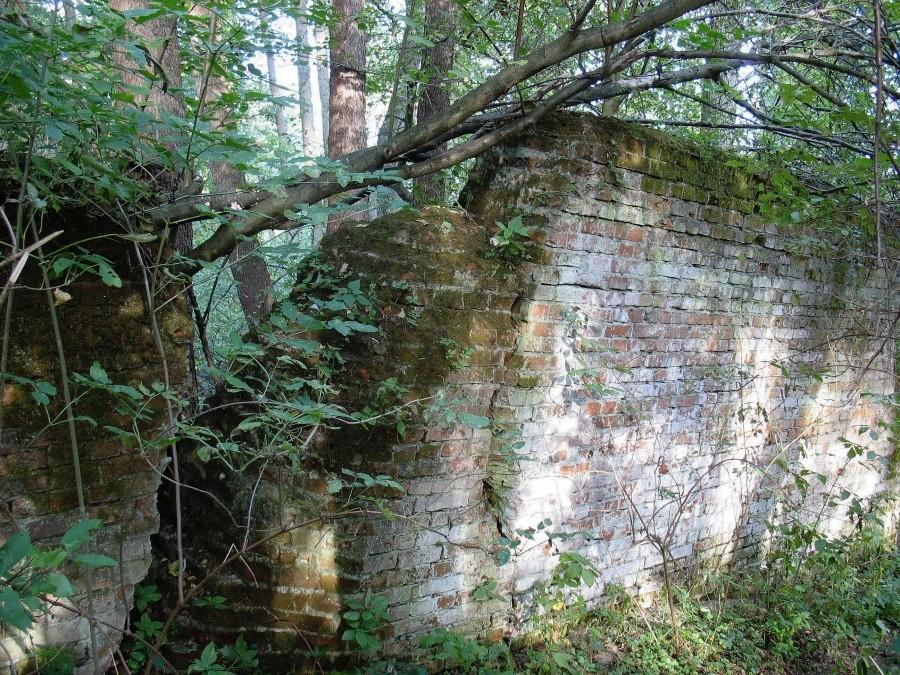 Mur nad Tarczynką