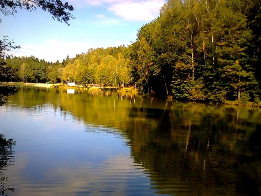 Kąpielisko "Balaton" w Wodzisławiu Śląskim