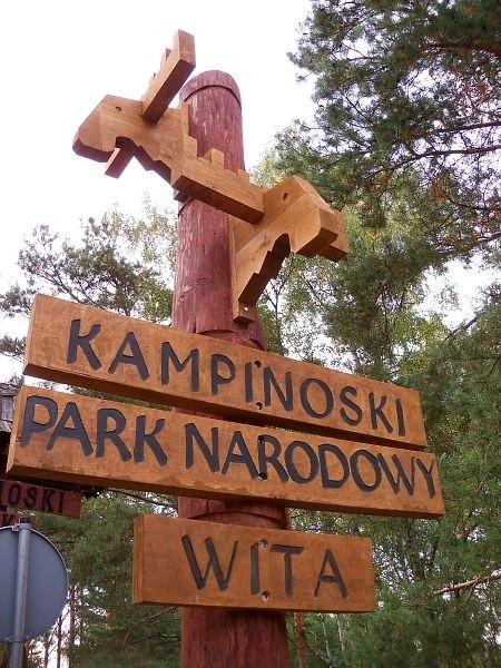 Nowy witacz w Palmirach