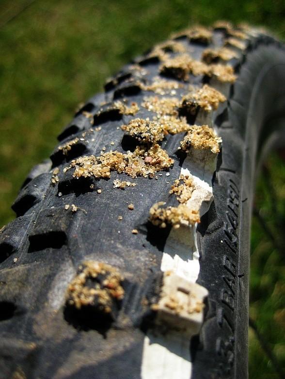 Schwalbe Racing Ralph