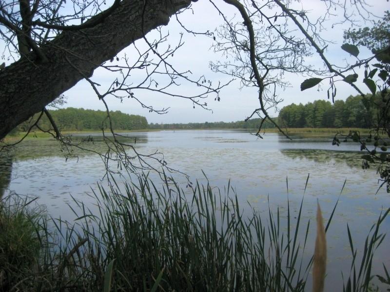 Jezioro Gackie