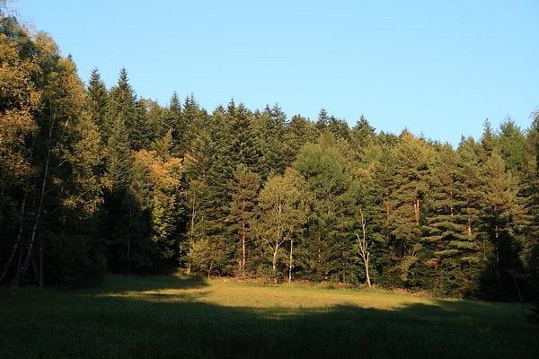 Polana