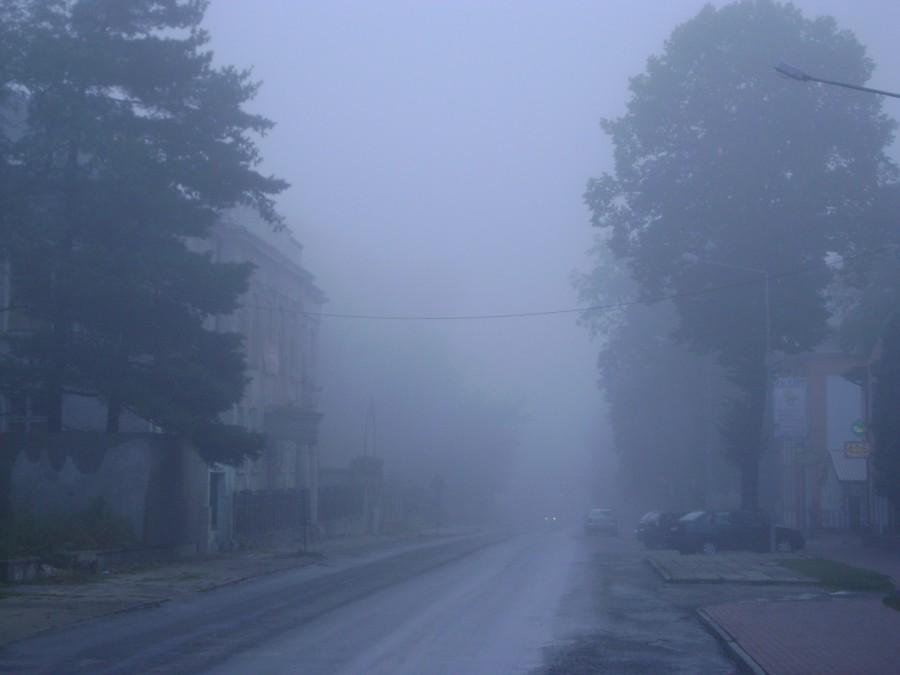 Spalska we mgle