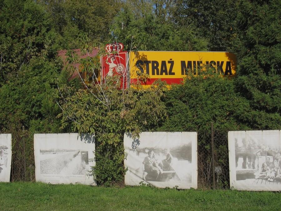 Straż Miejska ukryta w krzakach