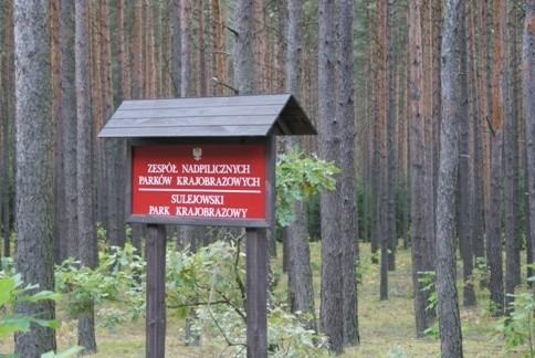 koło Sulejowskiego PK