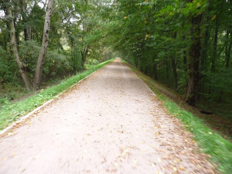 Lewobrzeżny Szlak Rowerowy Wisły - Młociny