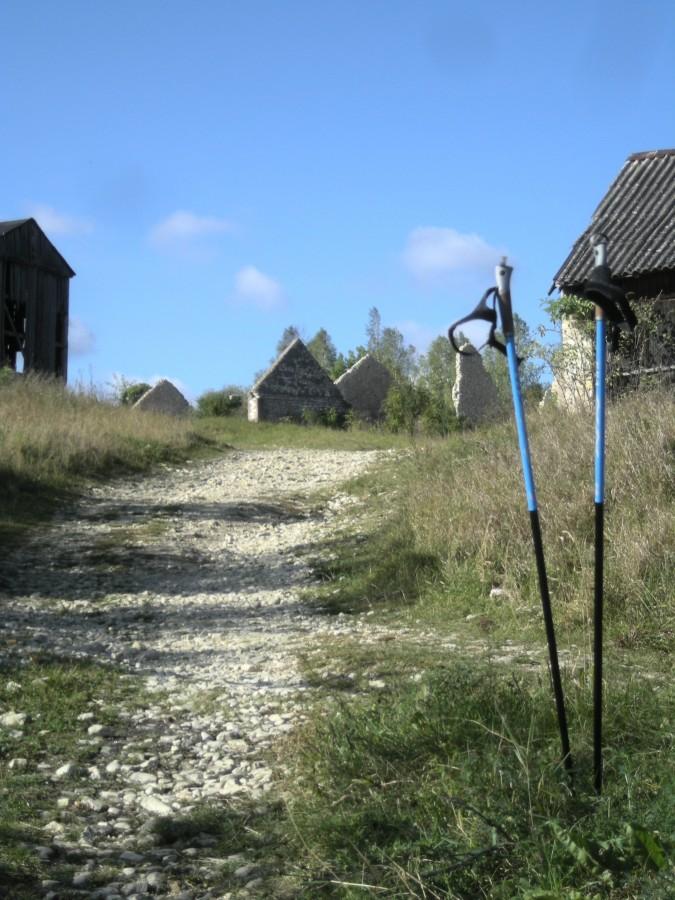 Ruiny Stodół w Mstowie