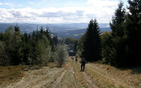 Stromy i arcywidokowy zjazd