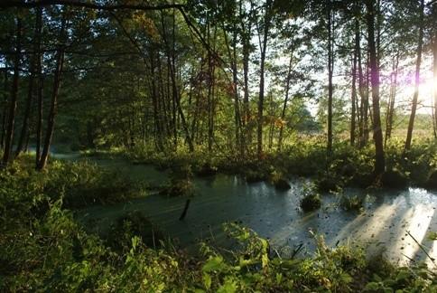 okolice Niebieskich Źródeł