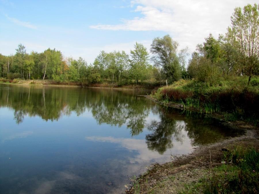 Jeden ze zbiorników wodnych w Olzie