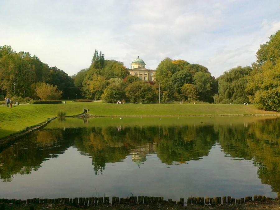 Królikarnia