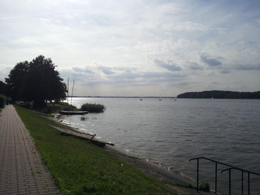 Widok na Zalew Zegrzyński - Rynia